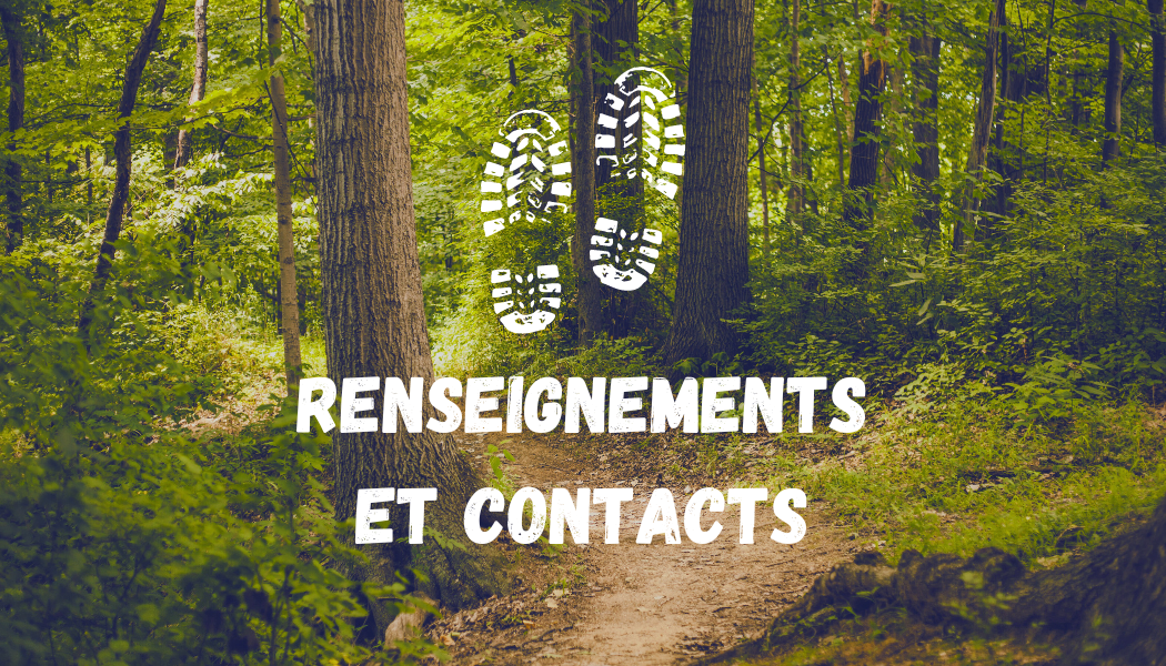 renseignements