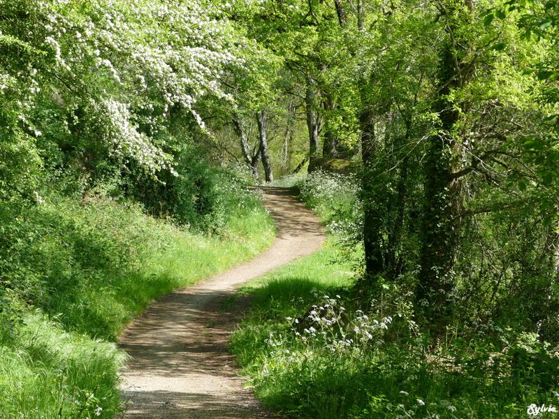 Vallée de Poupet